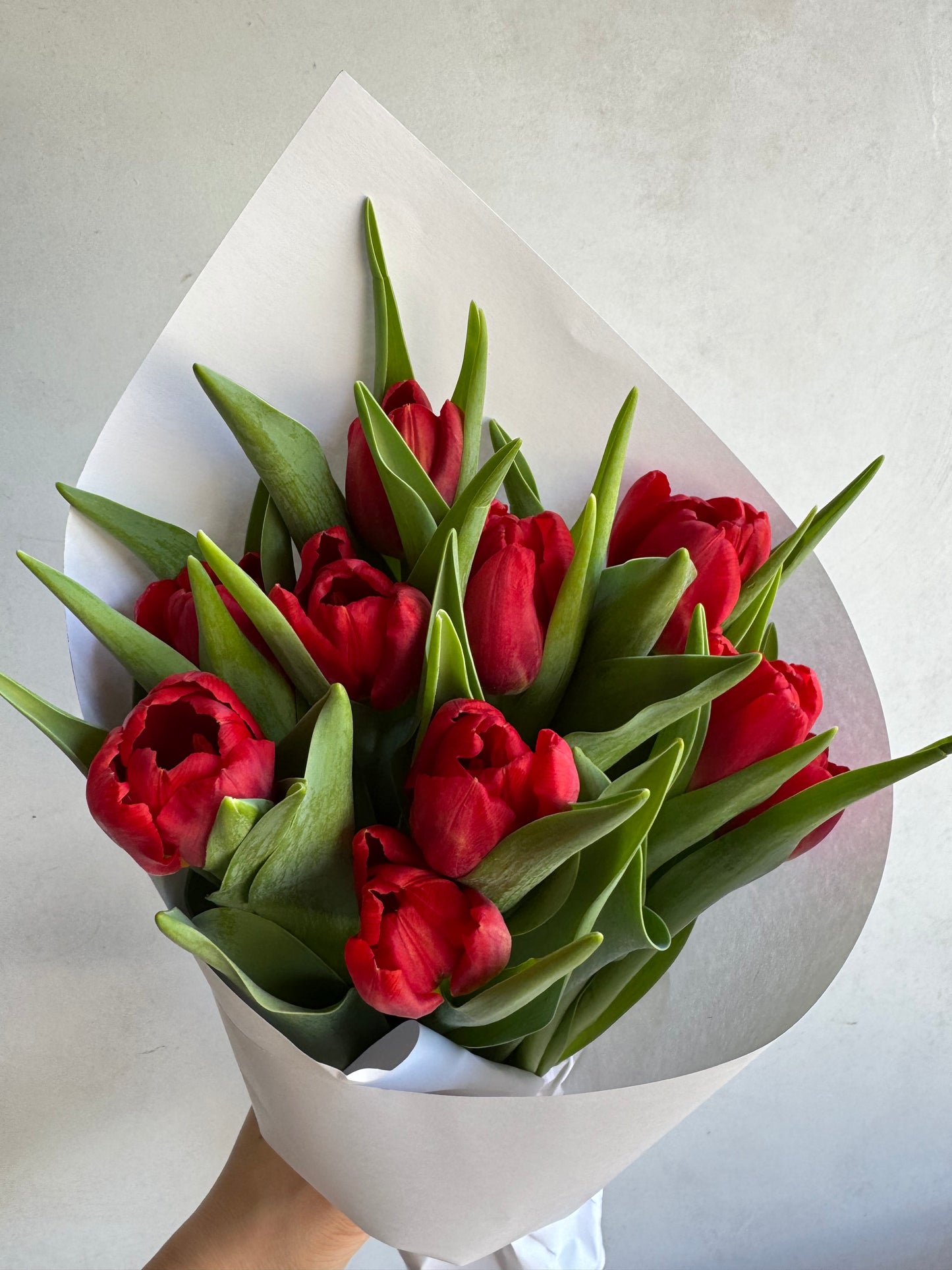 Tulip Bunch