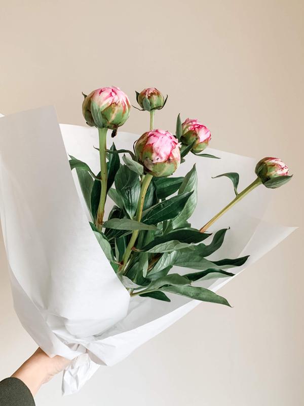 Peonies - Seasonal Blooms - Pretty Wild Flowers