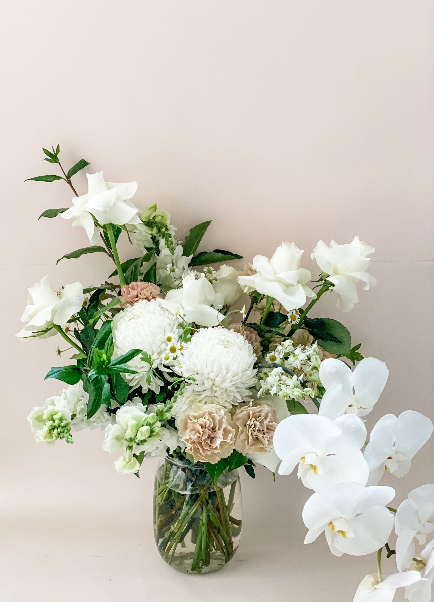 Cream Puff Fresh Flowers