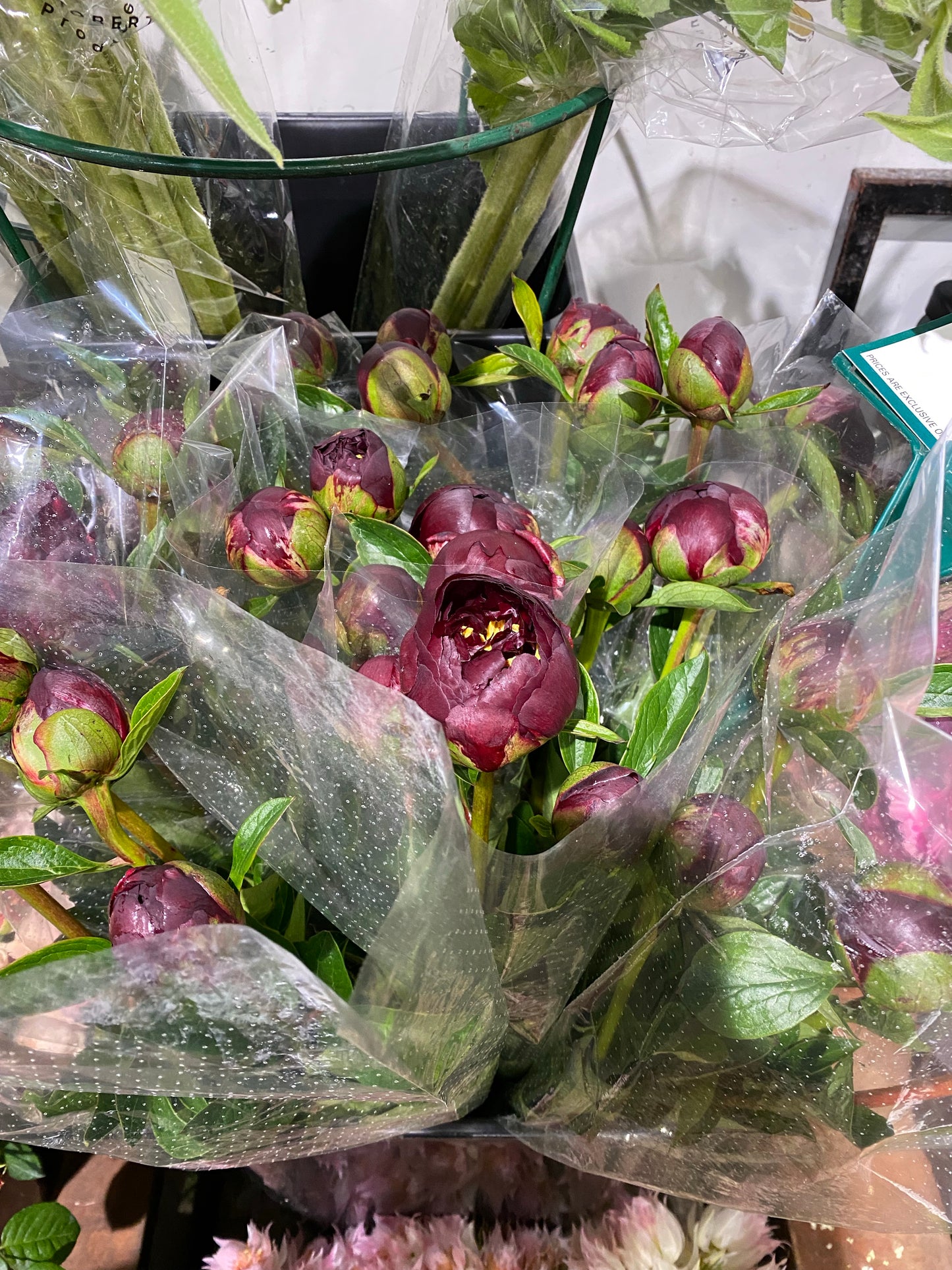 Peony Bunch
