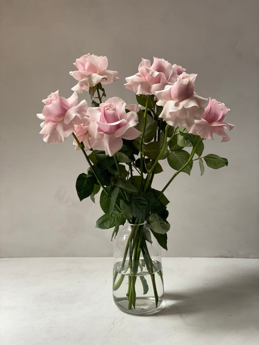 Roses Bouquet - Luxury long stem roses