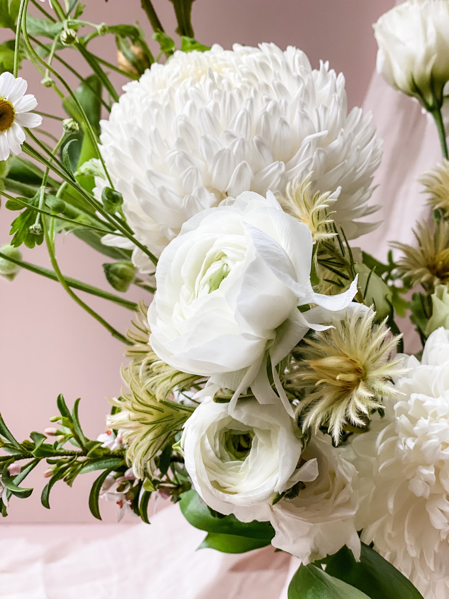 Cream Puff Fresh Flowers