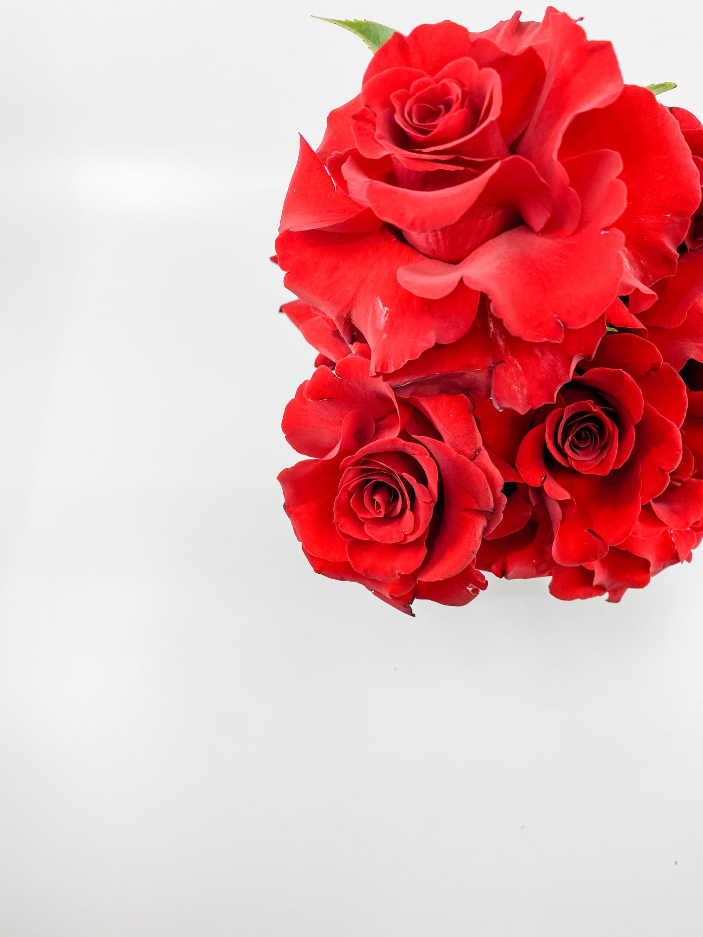 Valentine's Red Roses Bouquet